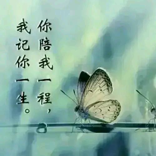 岳懒岳好