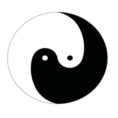 天天哥