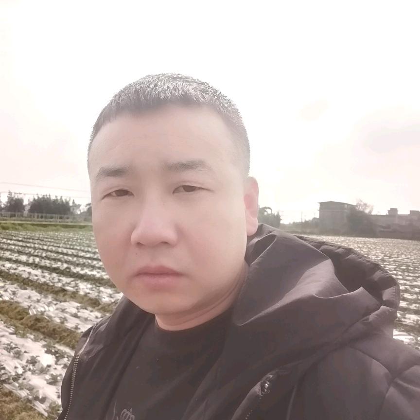 风雨无阻