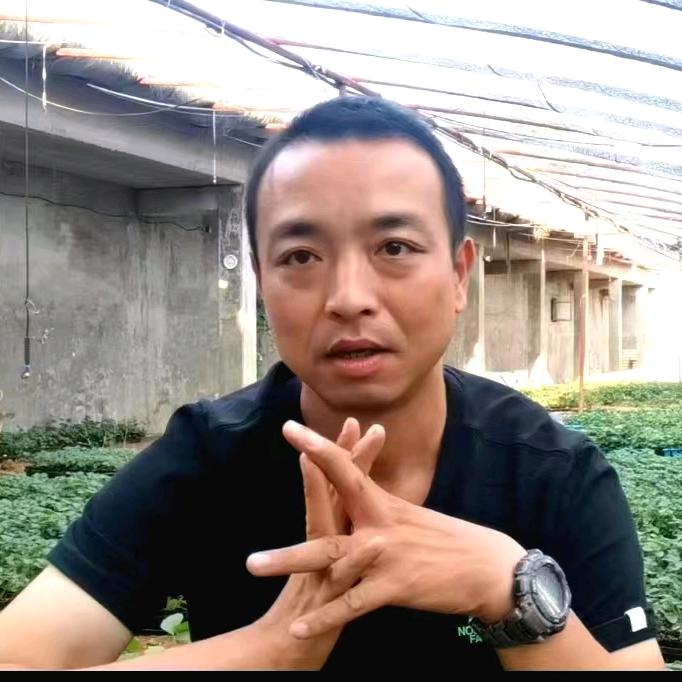 手艺人飞羽