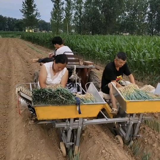 大葱种植设备#各种型号设备齐全