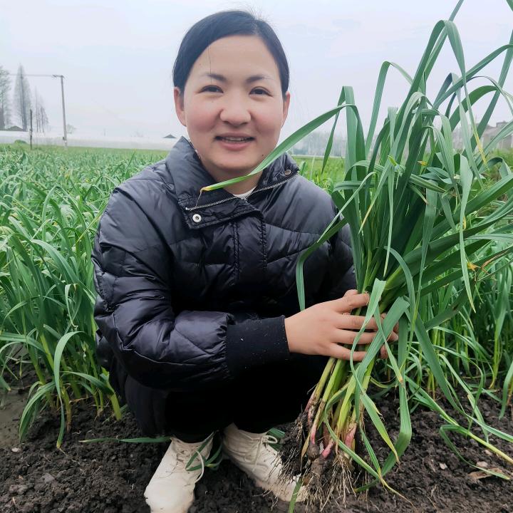 跃慧精选优品