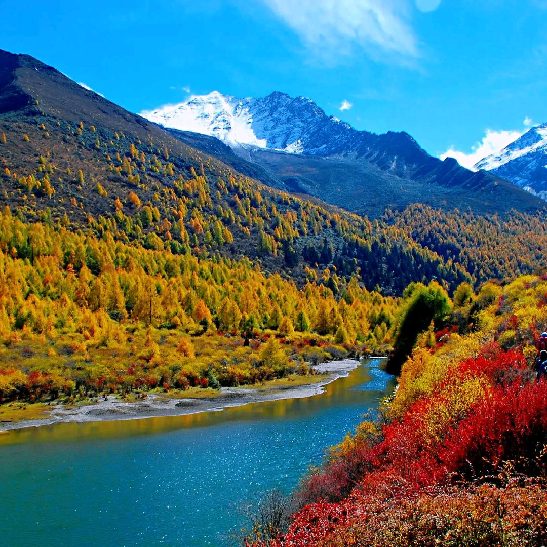 遨游甄选（川渝旅行）