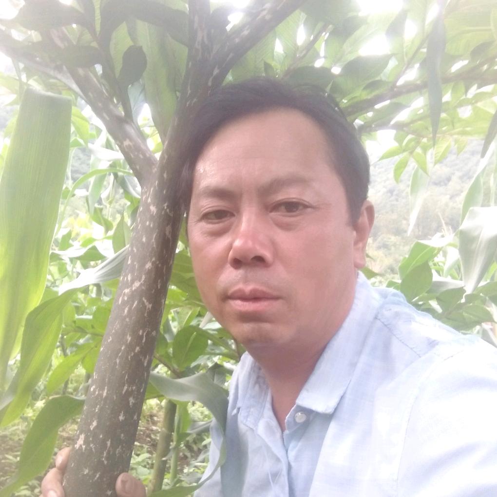 魔芋情人