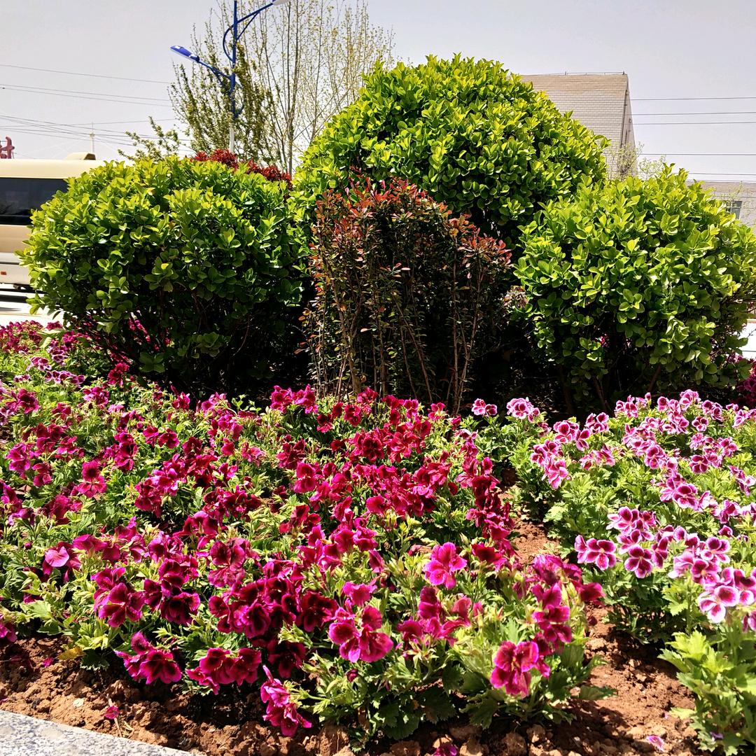 别动我的心  ()