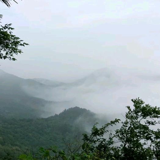 泰然的退休生活