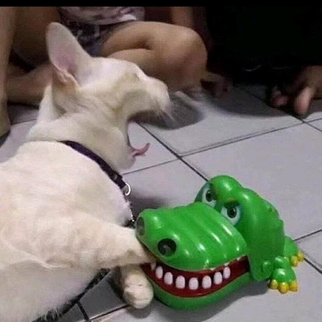 慌.