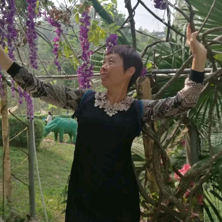 天道酬勤 （暂停）