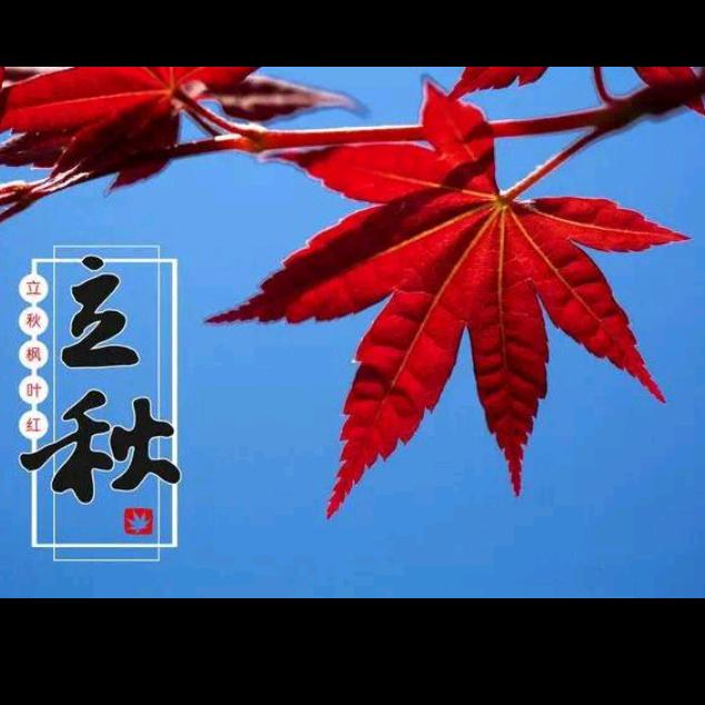 明天会更好的