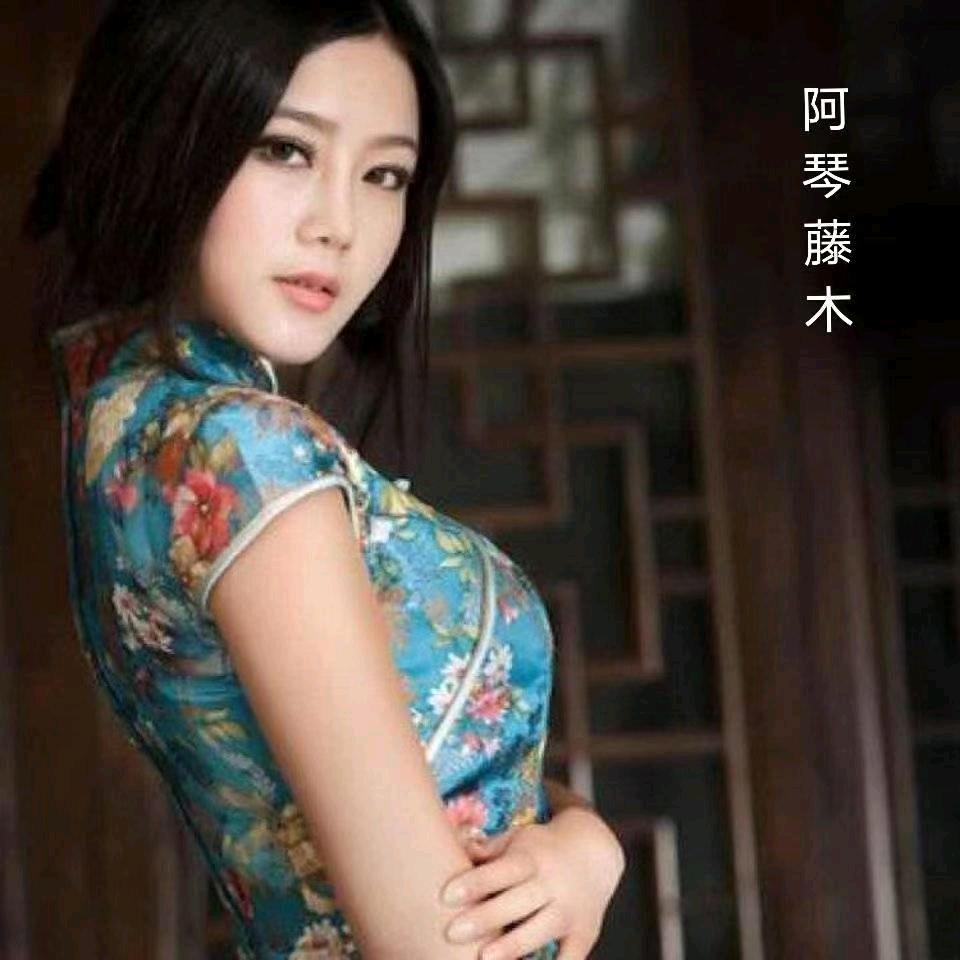 阿琴藤木