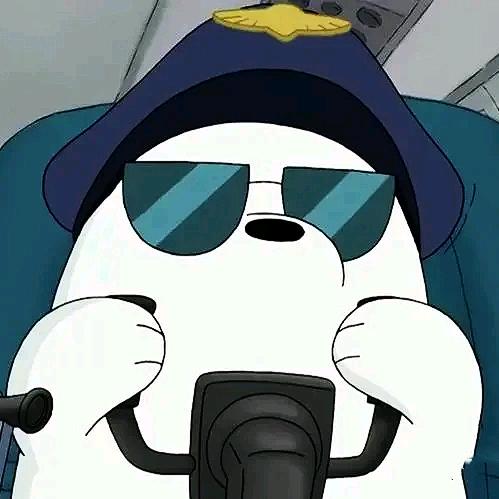 北极熊侃片