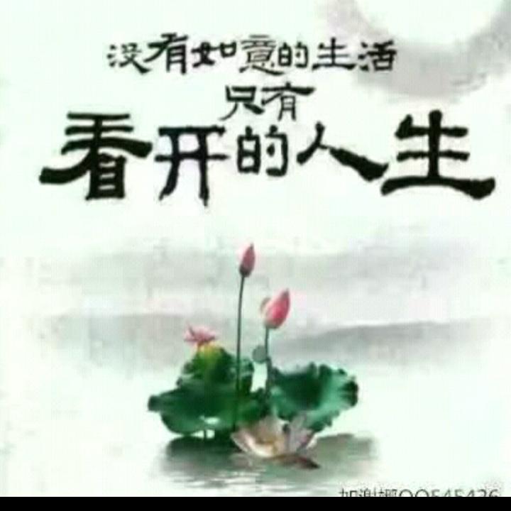 平淡人生