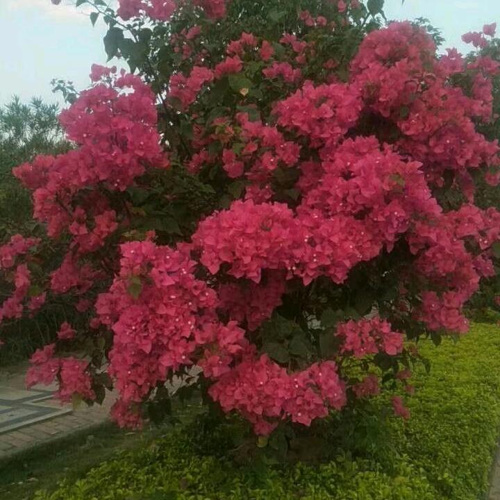 要懂得珍惜自己