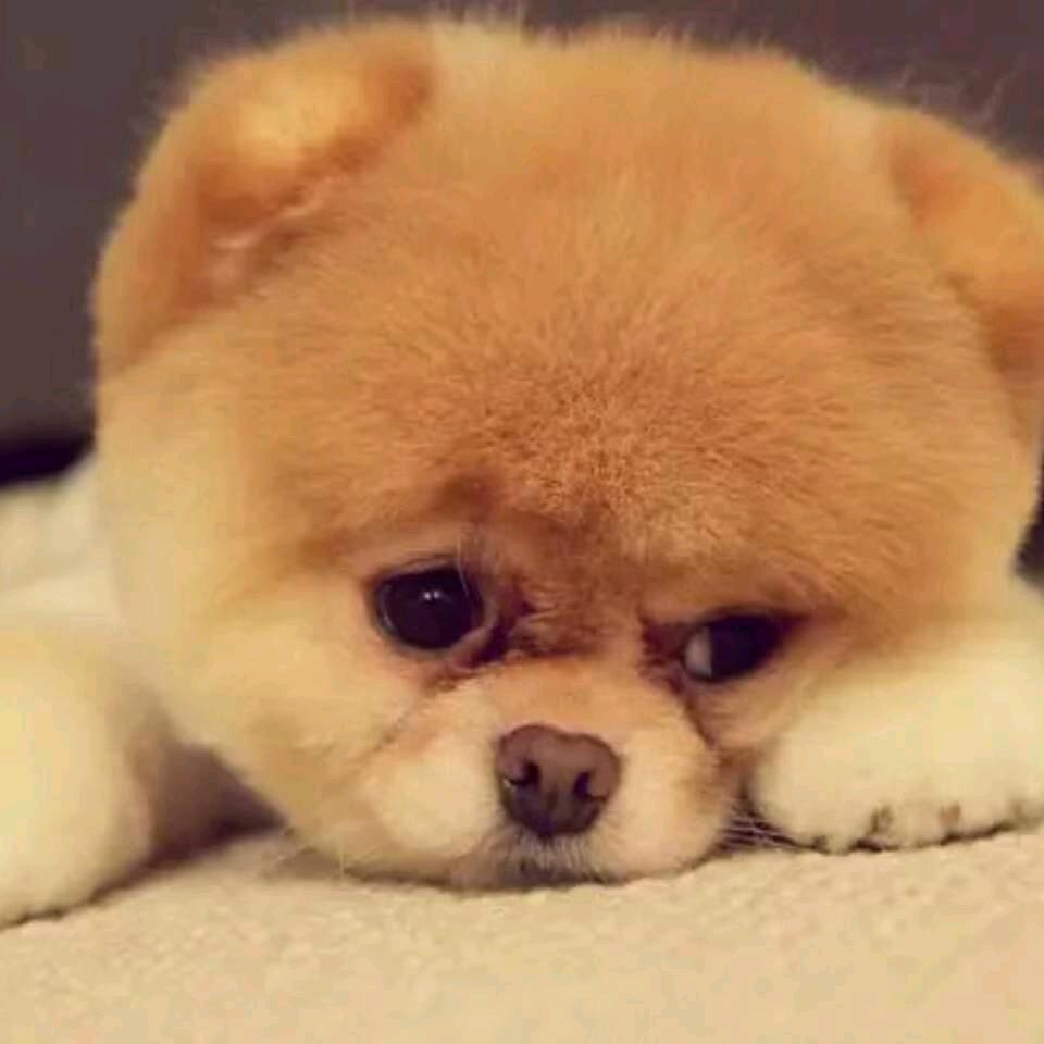 念而不见