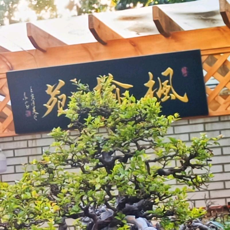 枫榆竹石