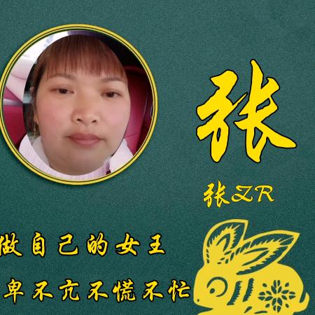 77年11月的蛇