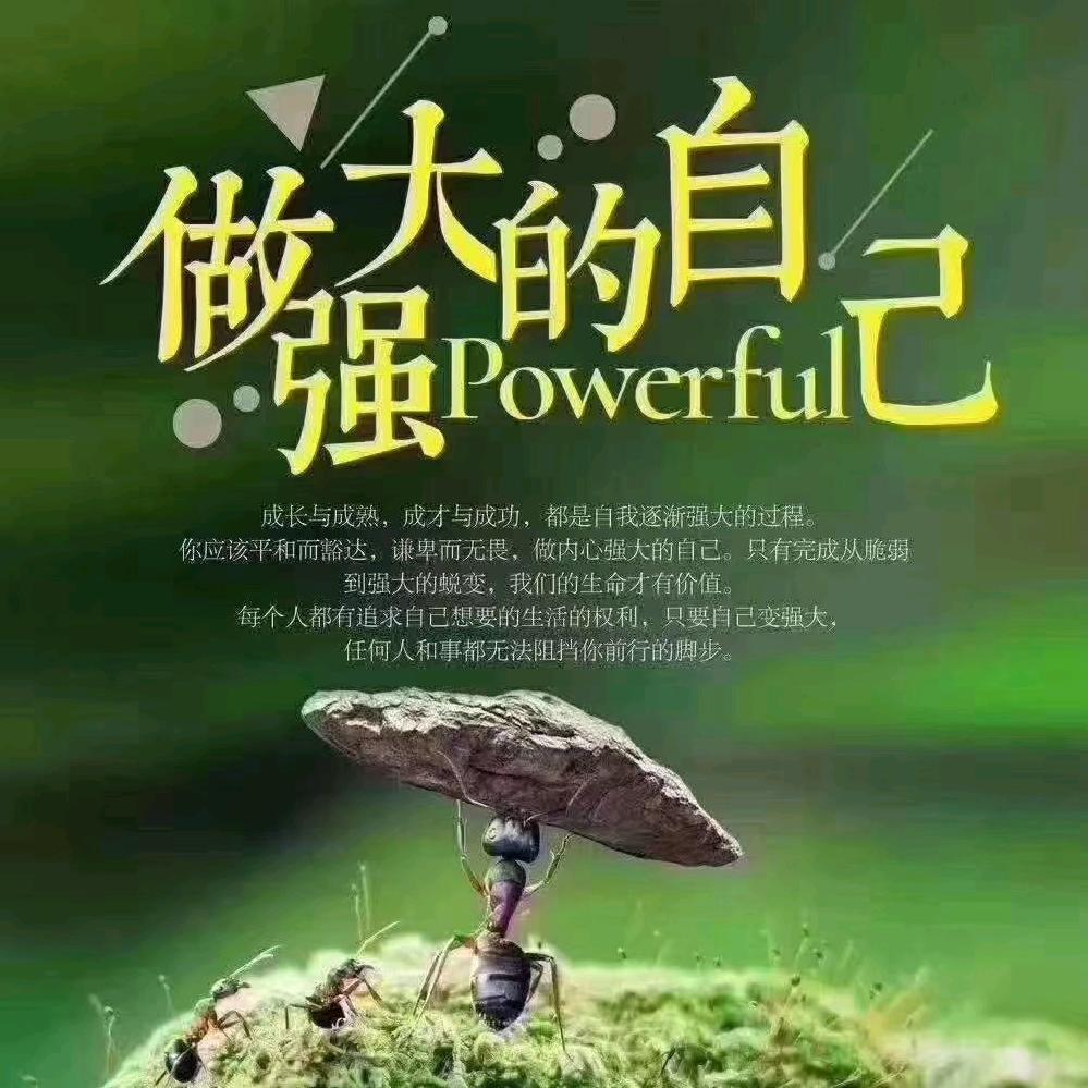 冬去春又来