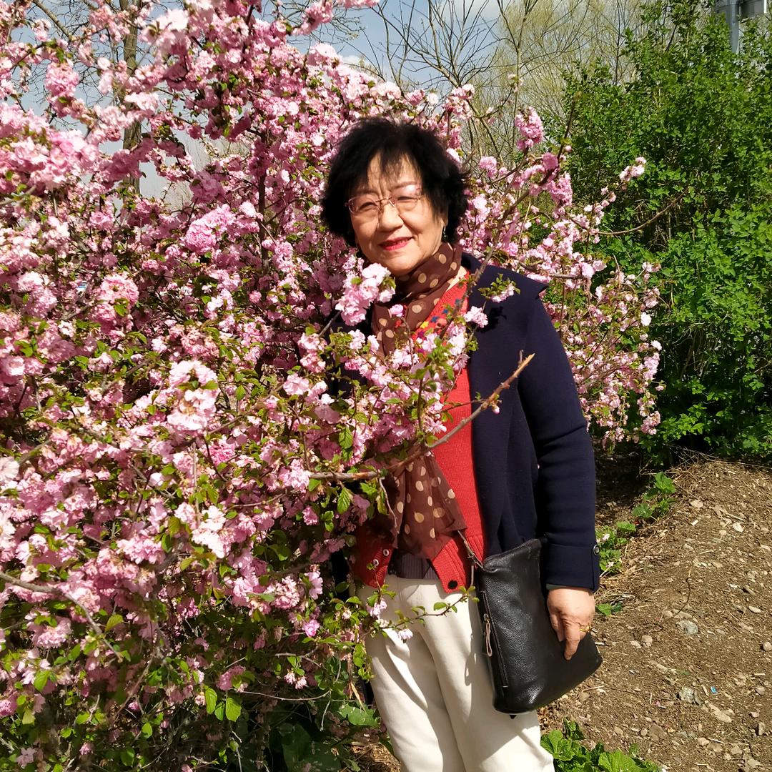 杜鹃花
