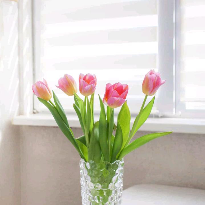 明天会更好💋💋👩‍❤️‍💋‍👩