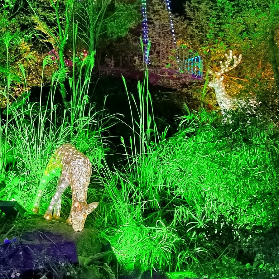 💕 ❧⁵²⁰汪杨大海₅₂₀💞࿐