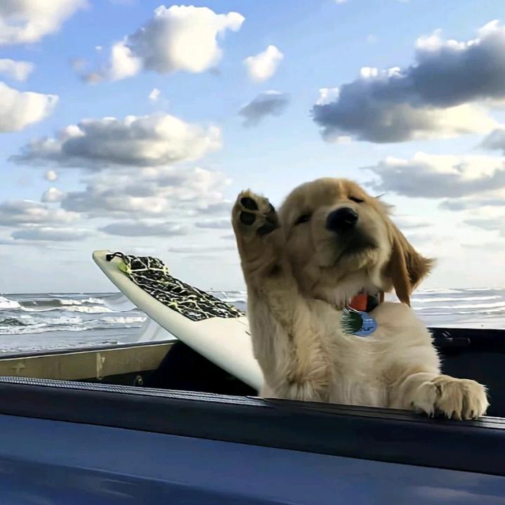 一拳把地球打爆