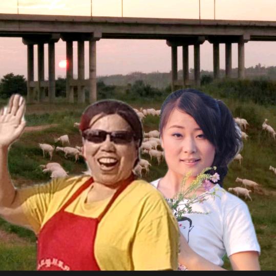 养羊一家子