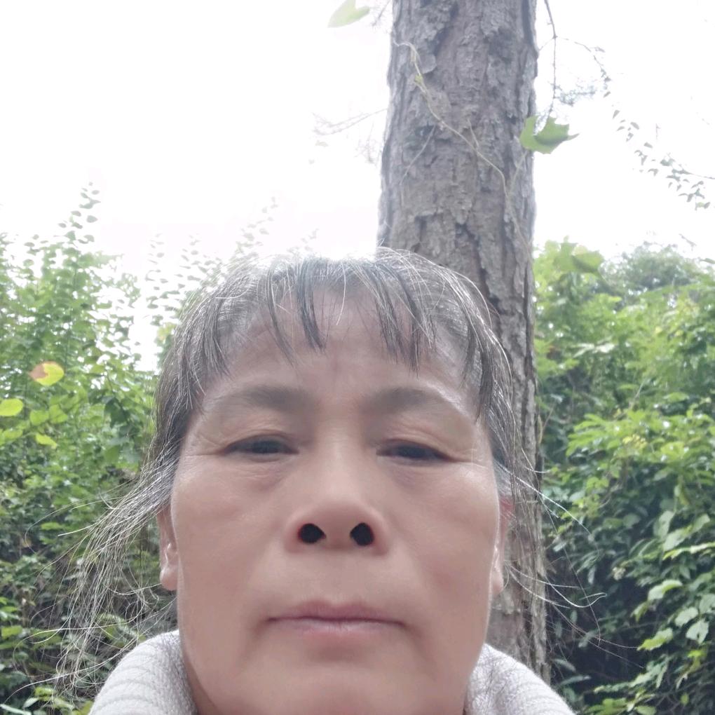 刘溯英