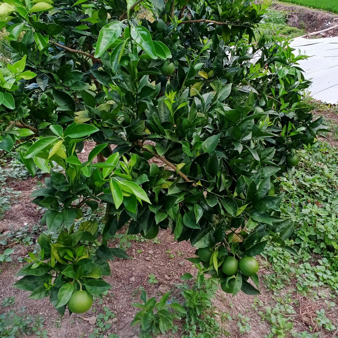 忘记过去这一切