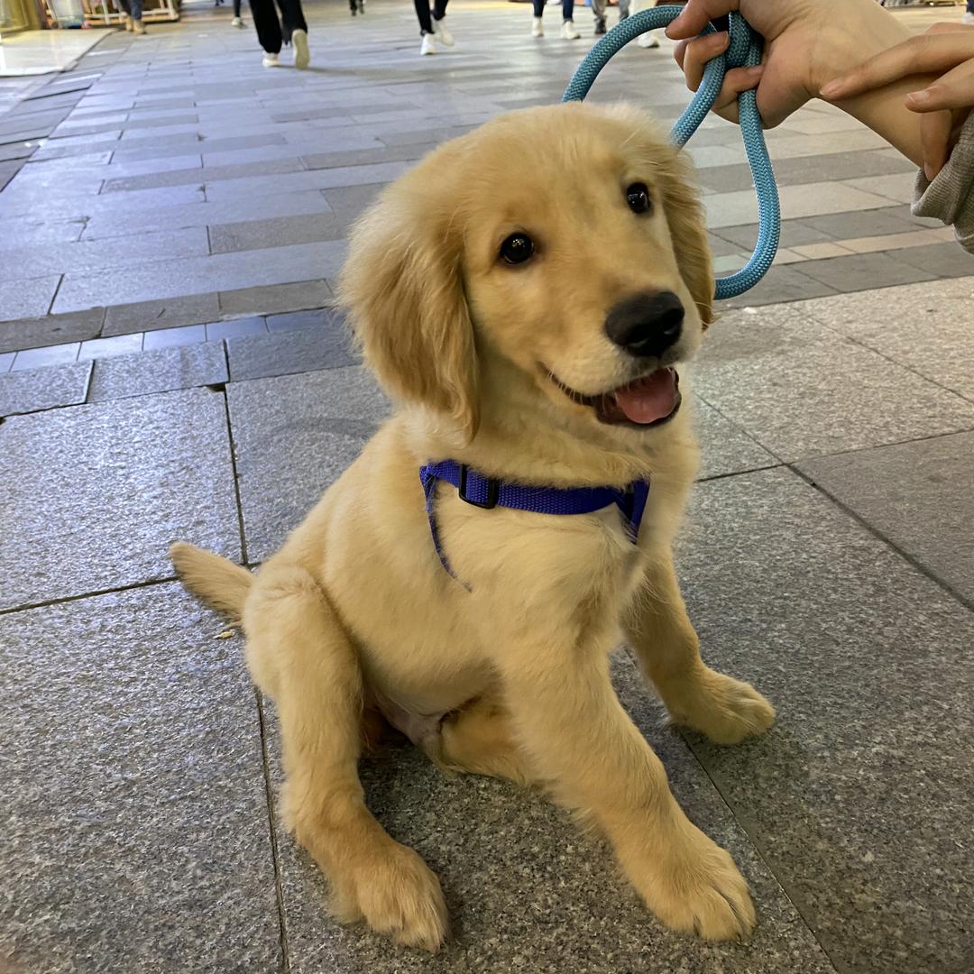 兜兜有糖💙