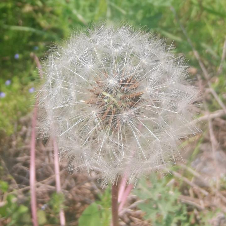 时间的俘虏