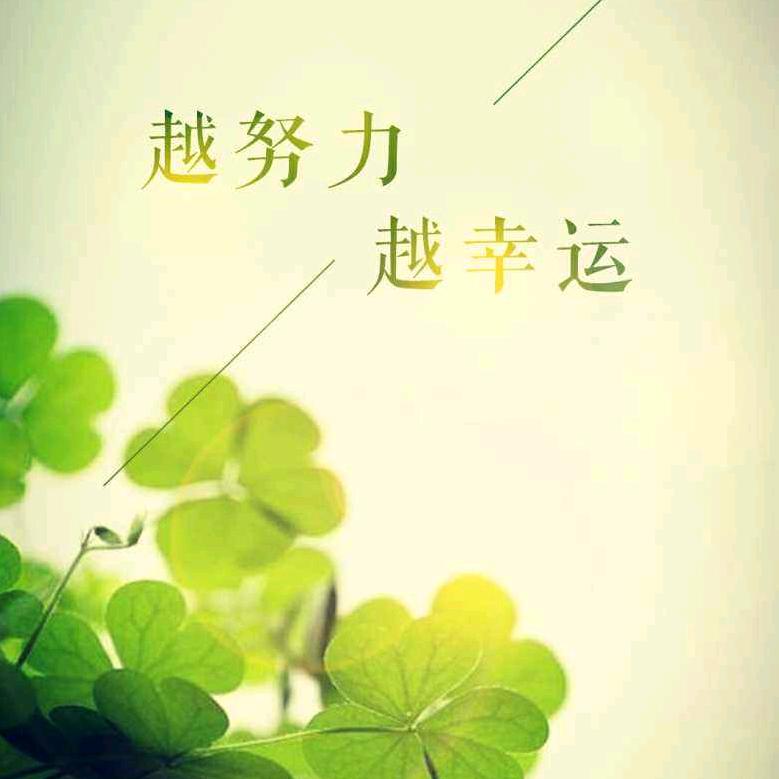 有李说不清