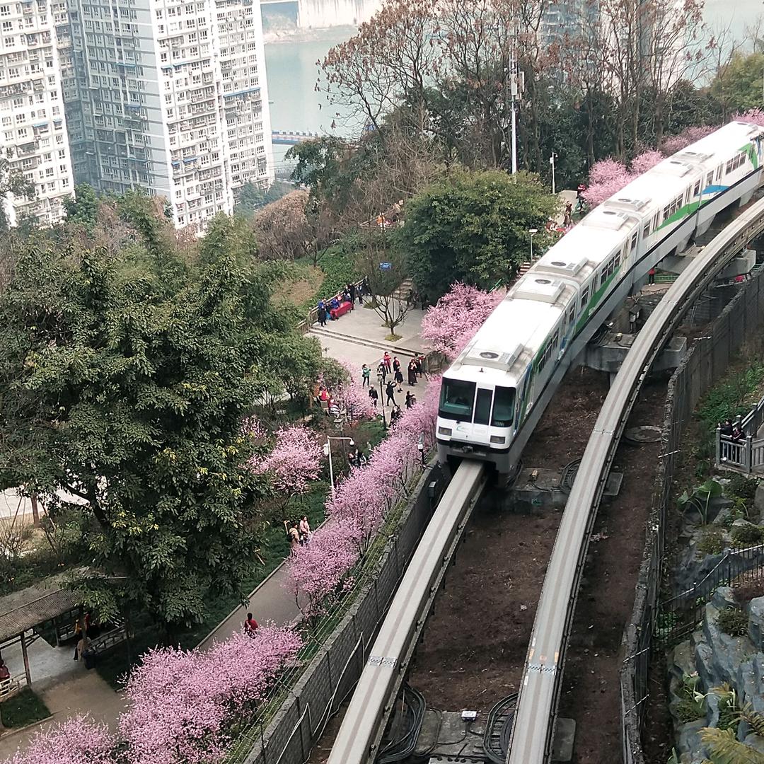 tangshan3623