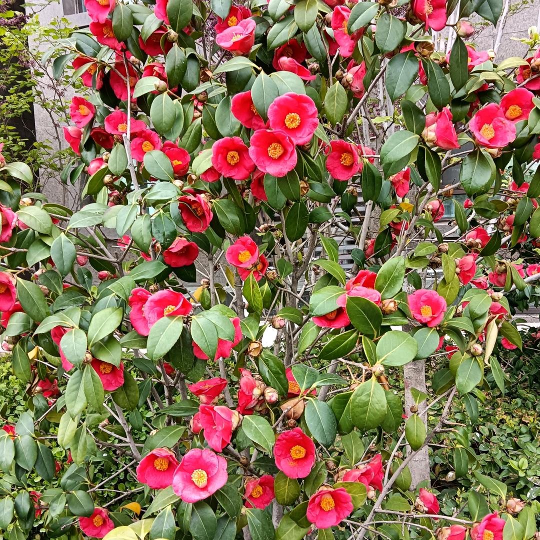 开心快乐每一天@