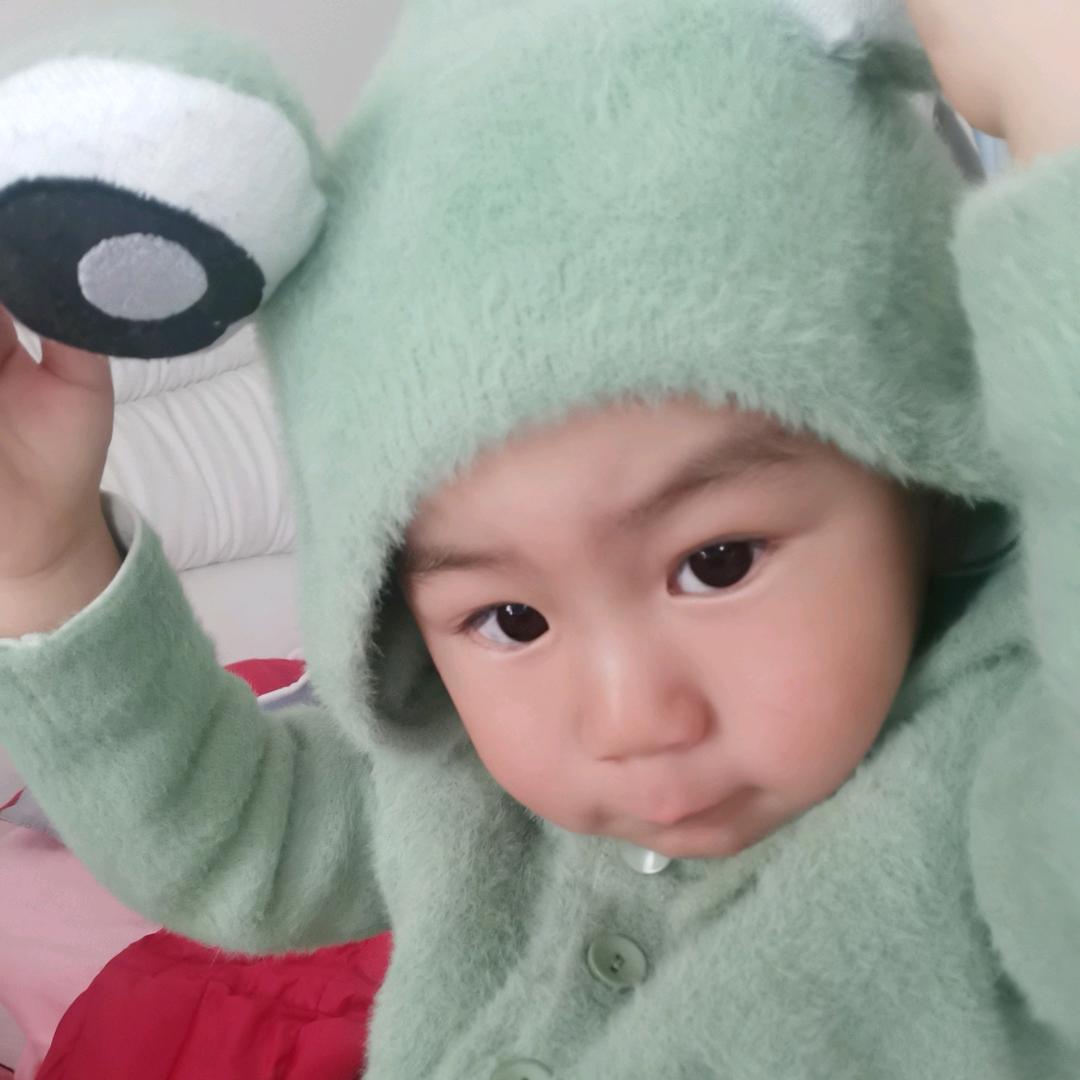 狸猫不吃鱼🐬.