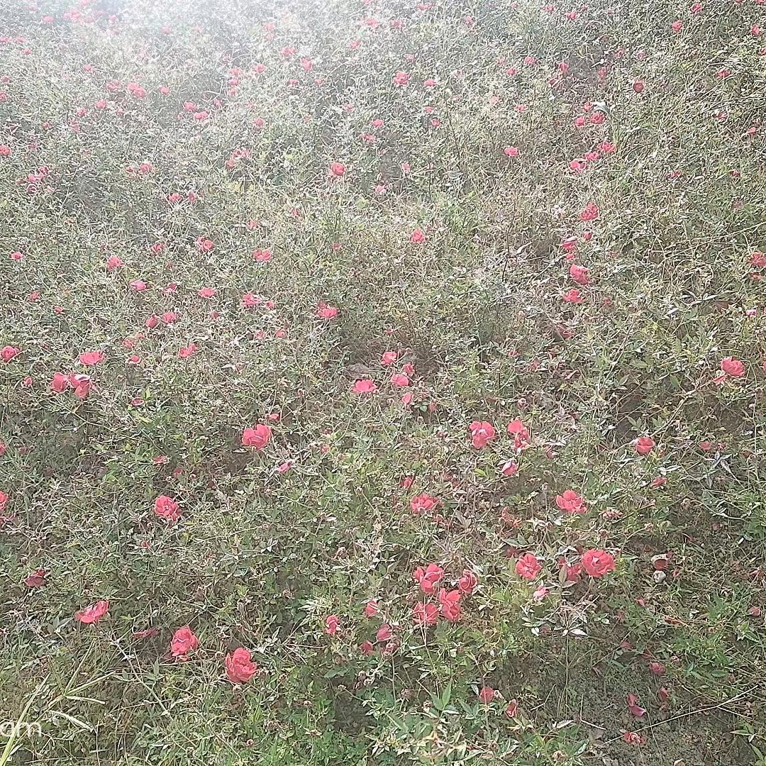 BABlB0Y通城一店黄剑锋