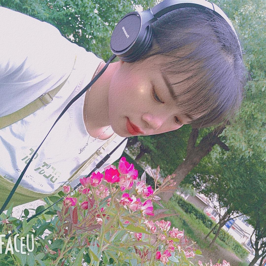 龙腾虎玥