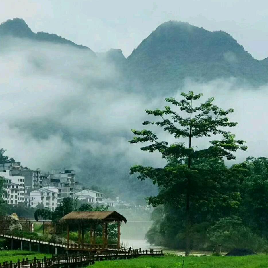 huang政