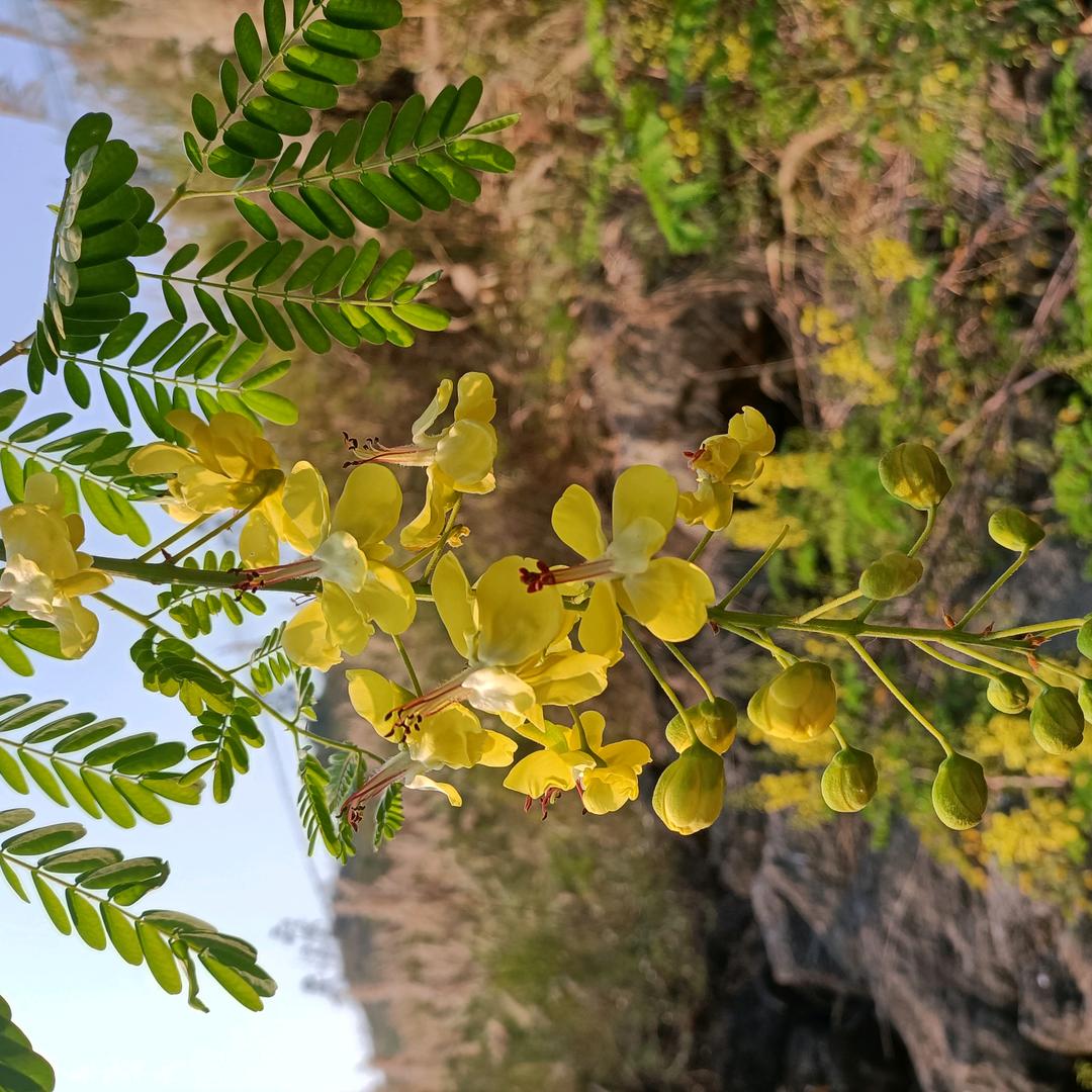 默默☀☀等待