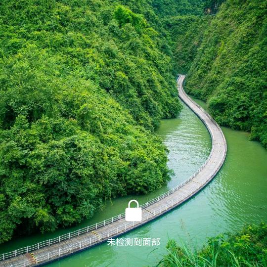 喷漆的  小牛