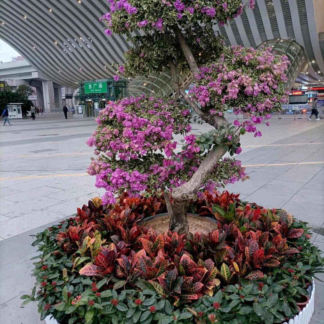 人生有苦谁知道