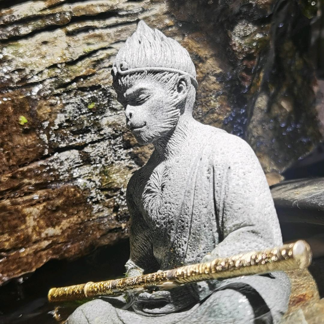 悠悠生态水族