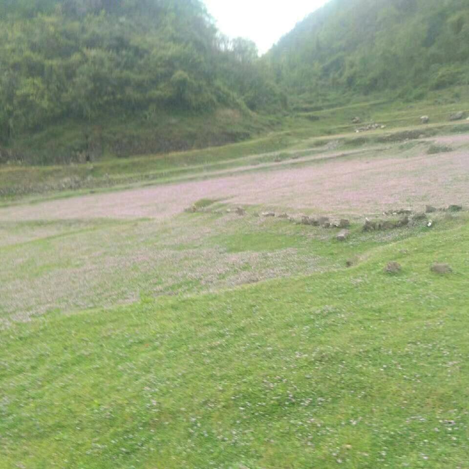 文忠宥鑫