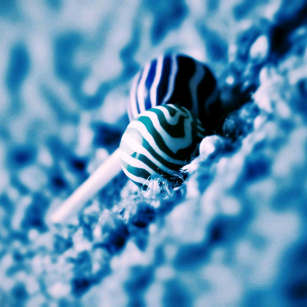 舔奶盖的小家伙