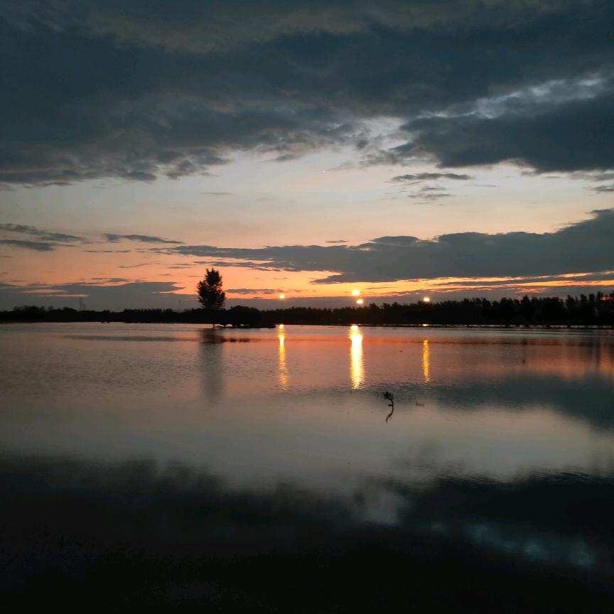 静静的看你闹腾