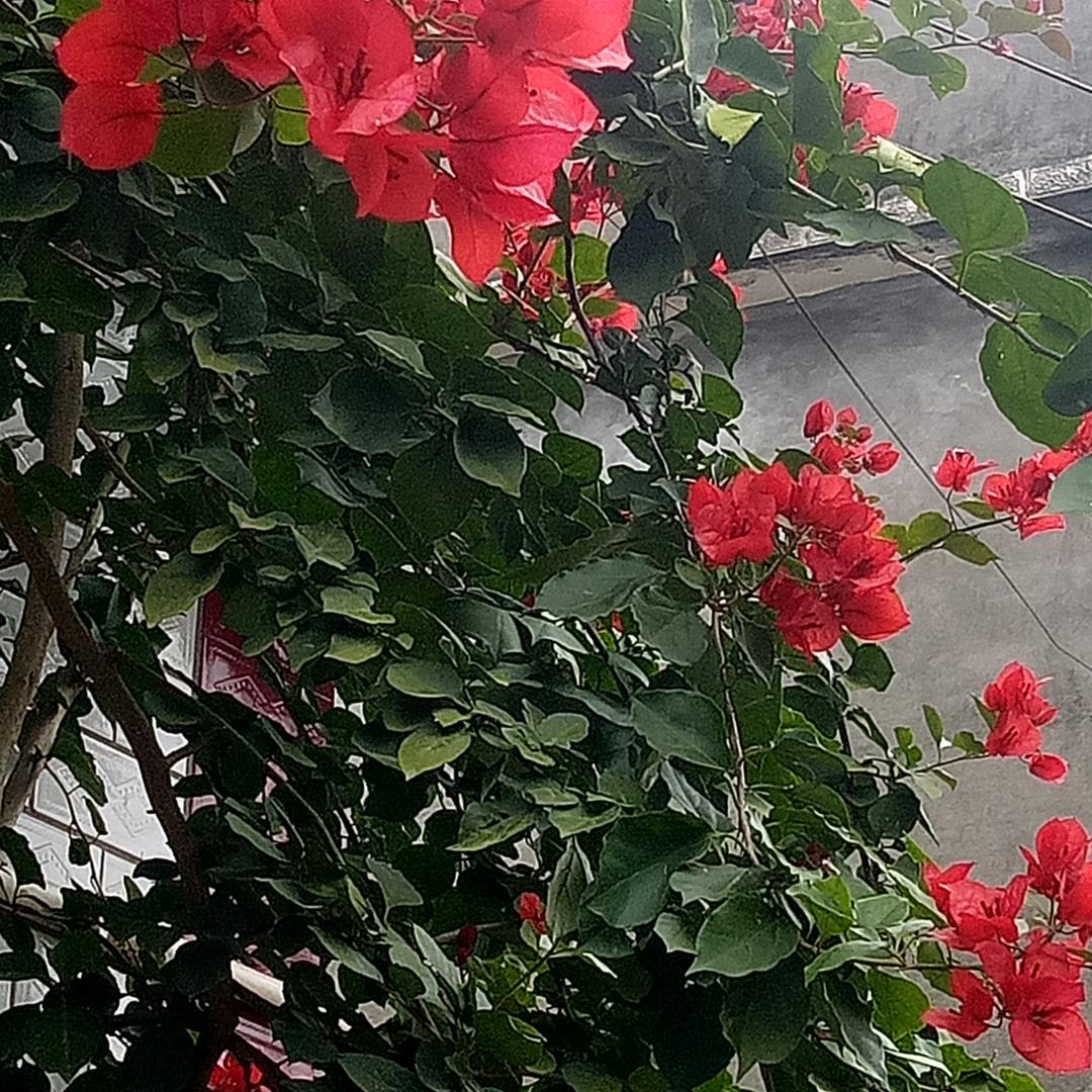 梦想追求
