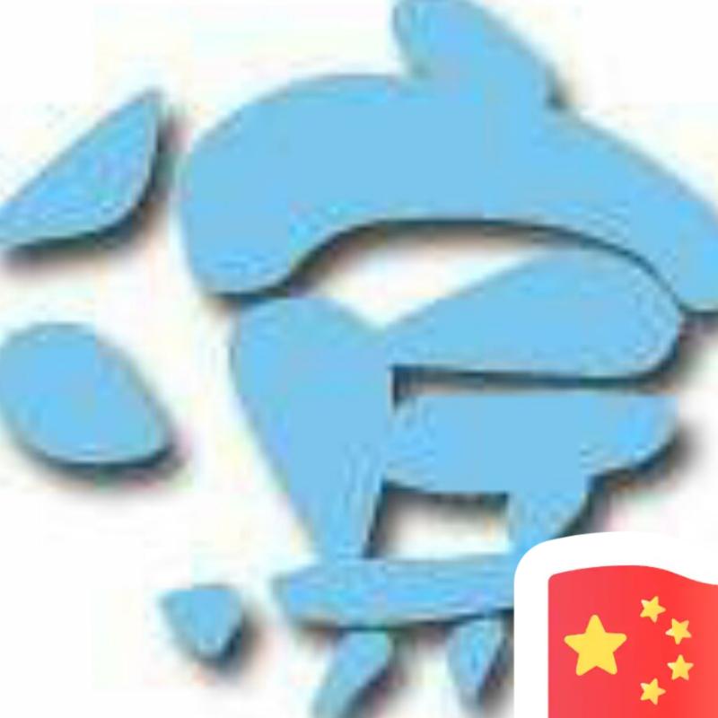 飞龙vs在天