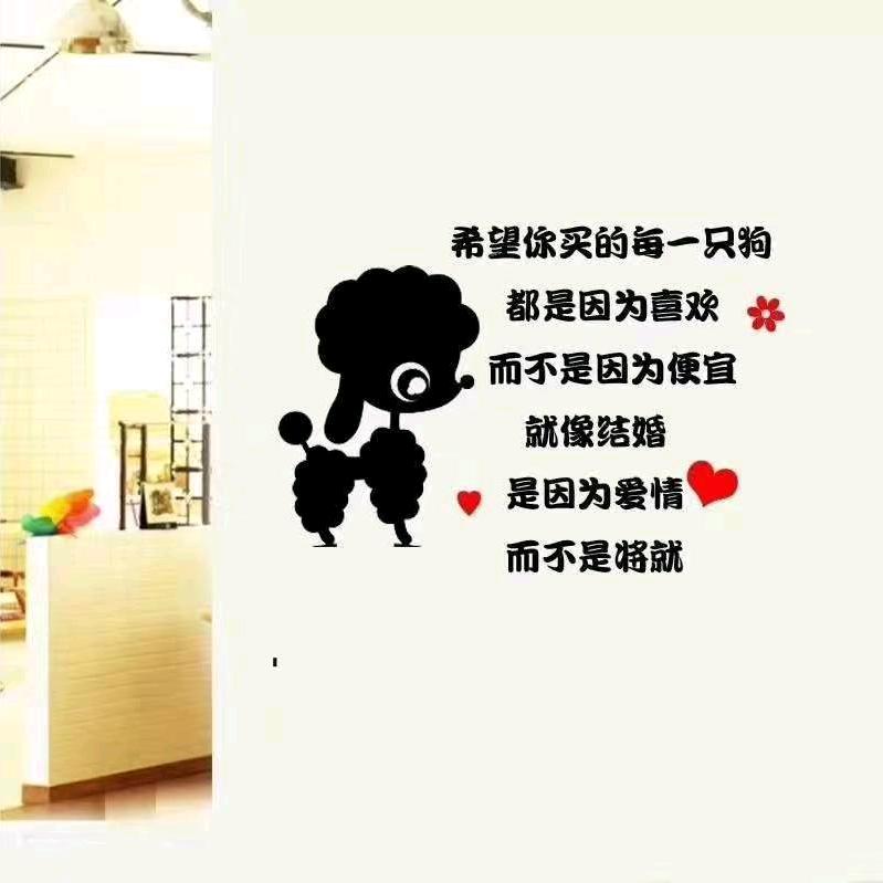 聖诚巨贵~可卡布