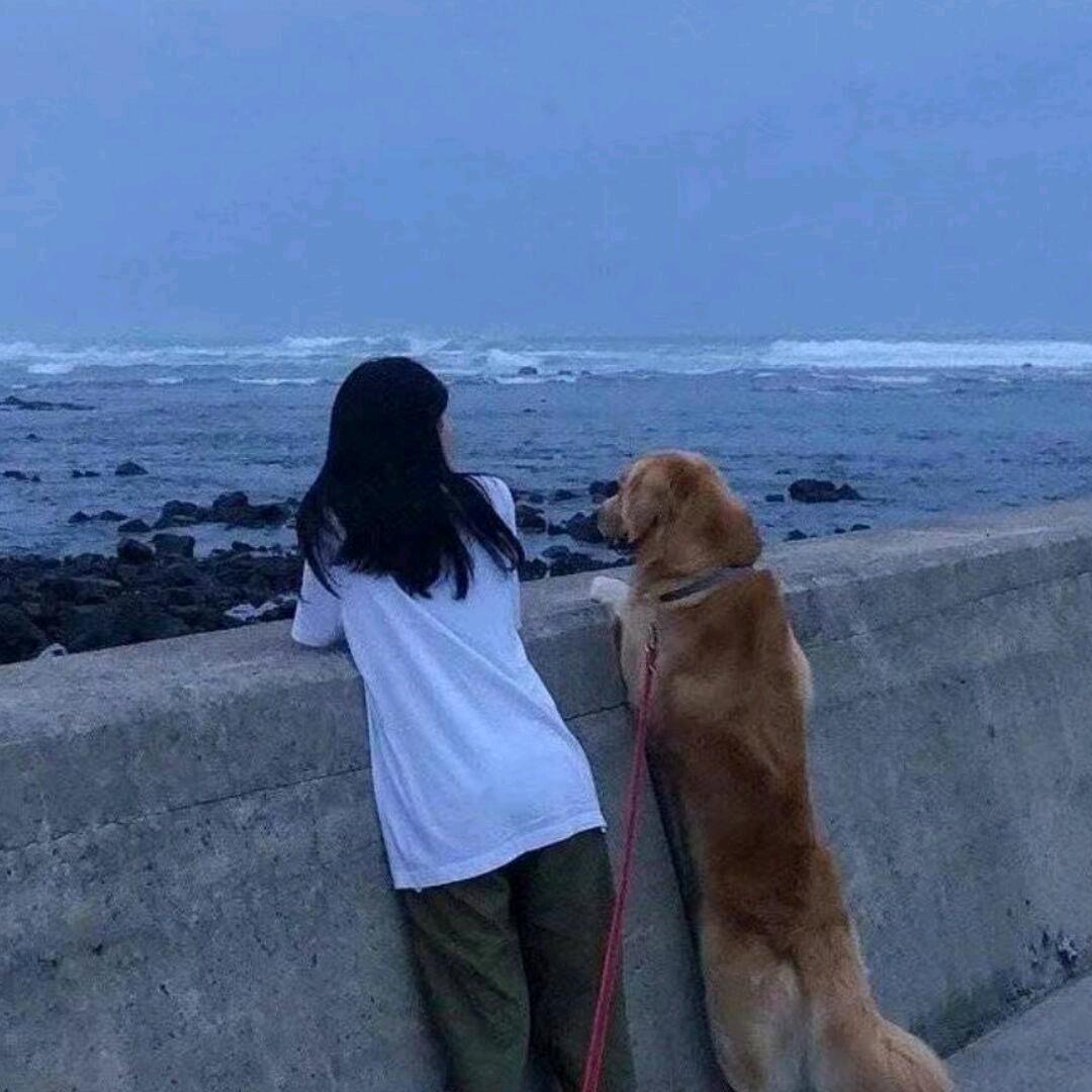 我不吃甜呀