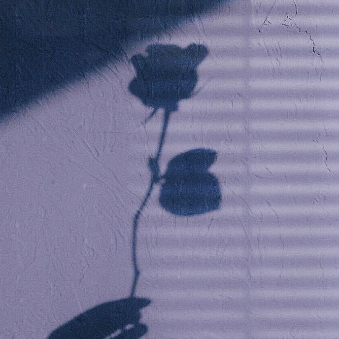 镜中花