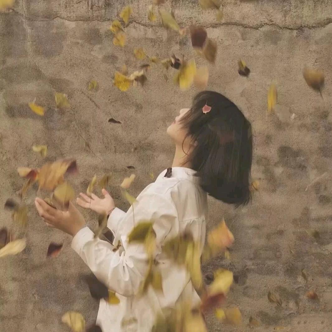 曾曾日上